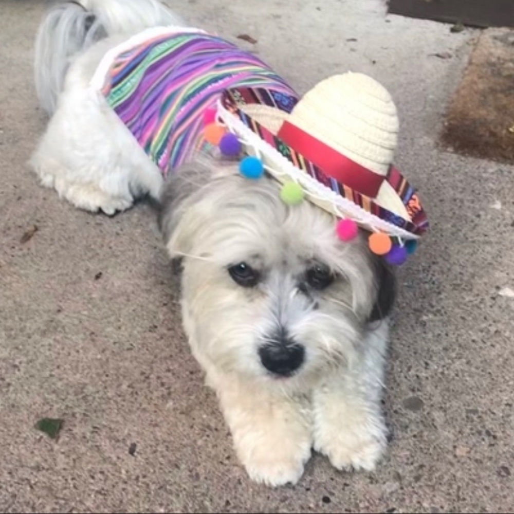 Meet your Posher, Katia